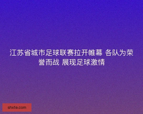 江苏省城市足球联赛拉开帷幕 各队为荣誉而战 展现足球激情
