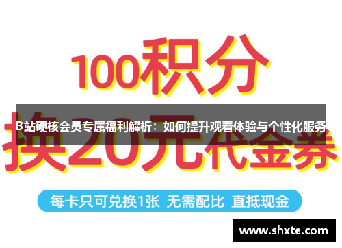 B站硬核会员专属福利解析：如何提升观看体验与个性化服务