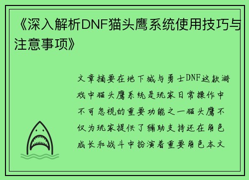 《深入解析DNF猫头鹰系统使用技巧与注意事项》